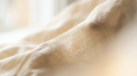 Rappresentazione concettuale dell'elasticità cutanea e del ringiovanimento tessutale dopo liposuzione