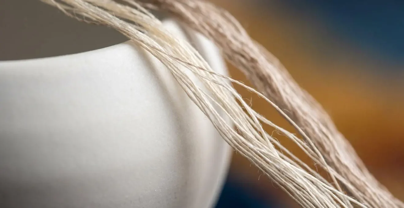 Rappresentazione visiva dei diversi ideali estetici attraverso forme organiche e contrasti di texture